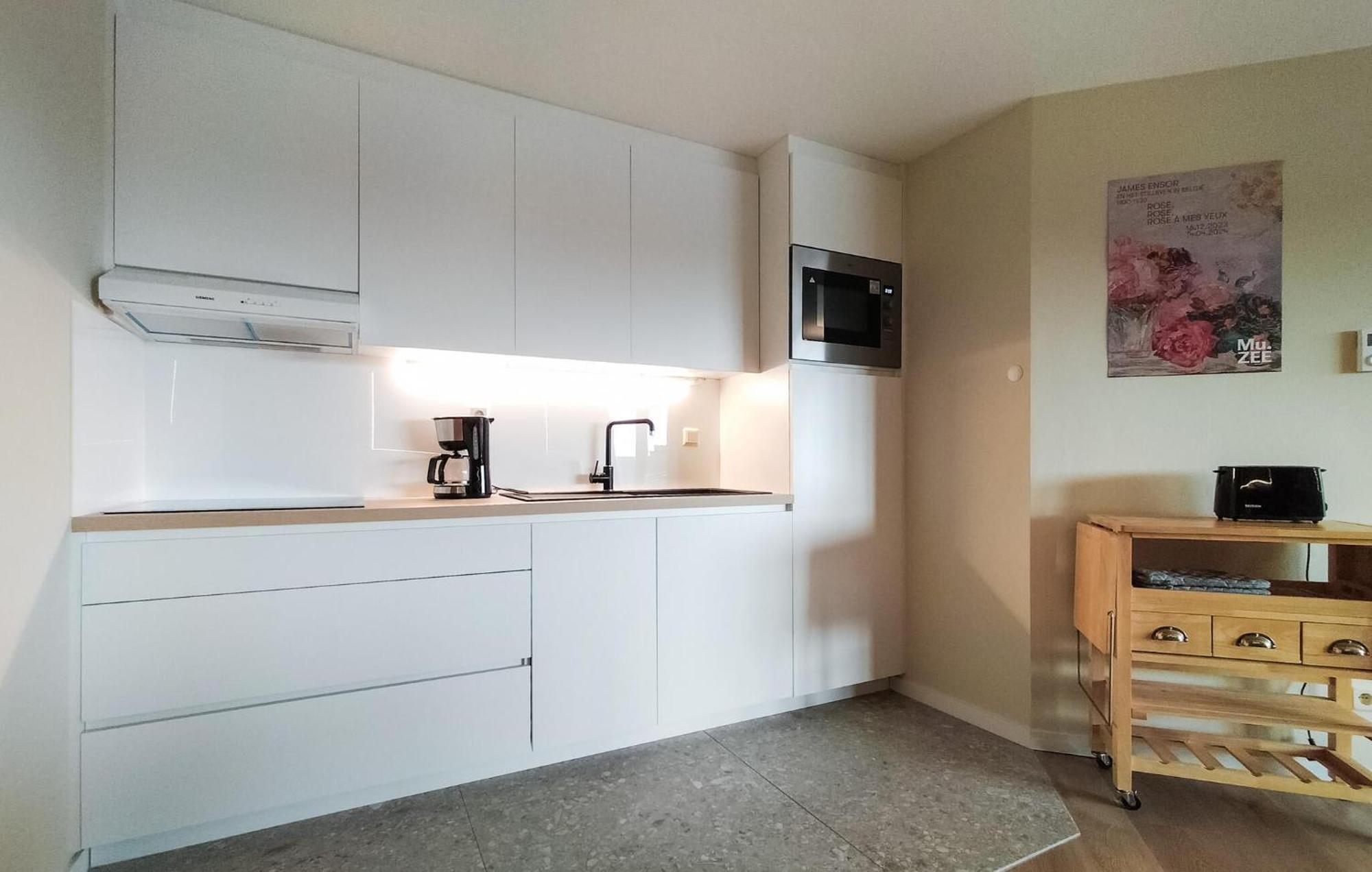 Appartement 1 Bedroom Stunning In Oostende